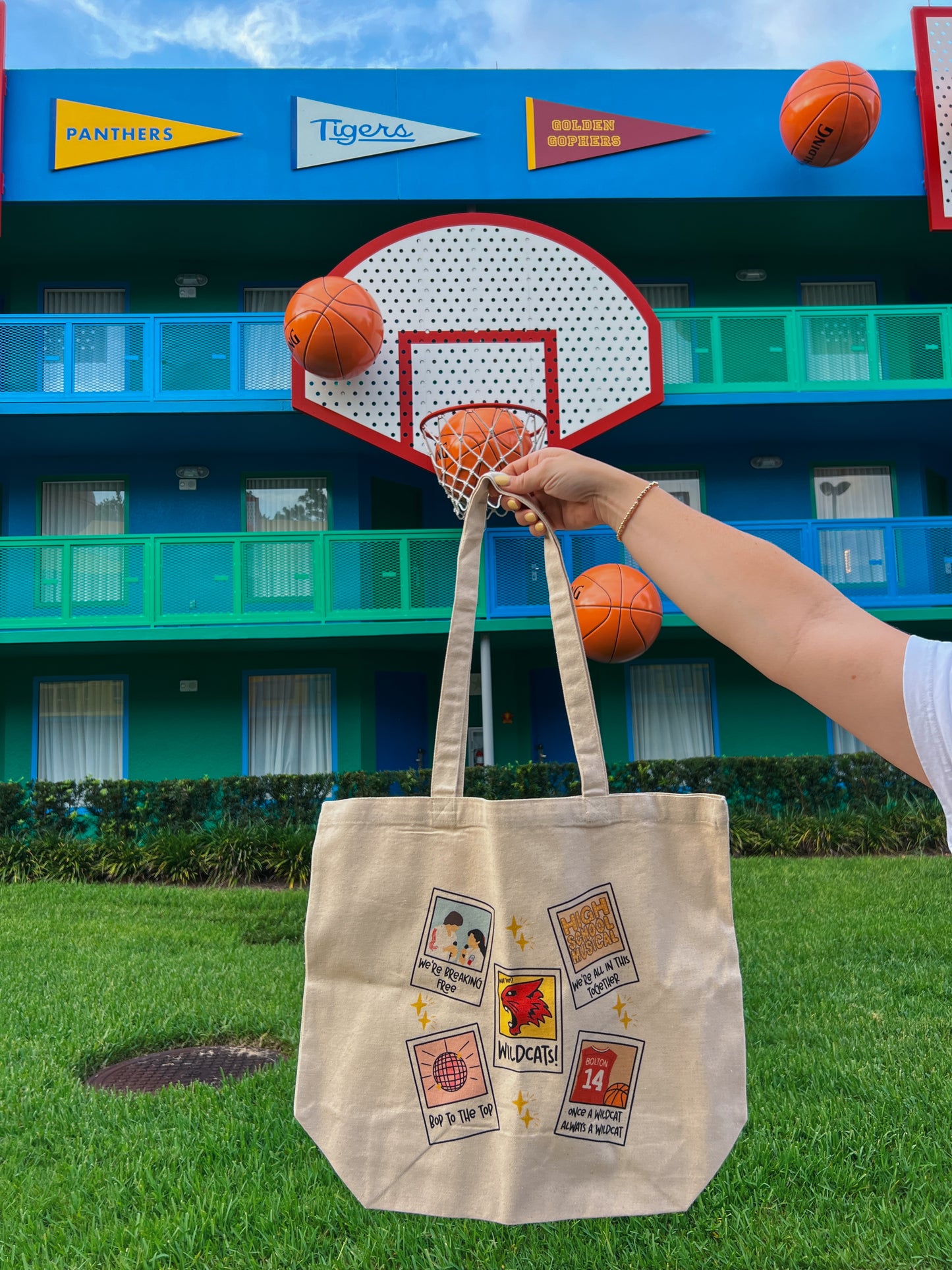 wildcats tote