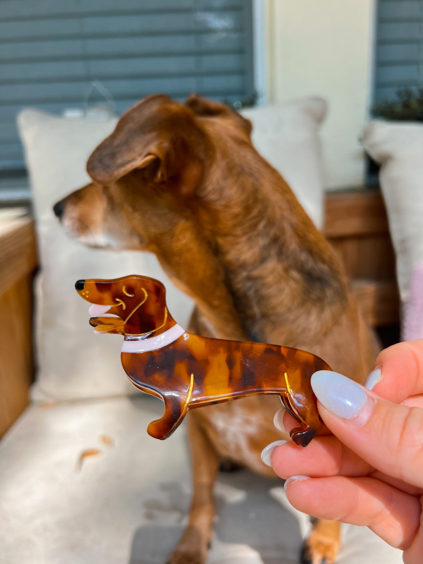 pup hair clip